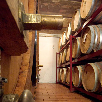 Azienda Agraria Fossacolle - Wine producer in brunello land The cellar